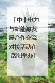 中非电力与新能源发展合作交流对接活动在岳阳举办