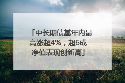中长期债基年内最高涨超4%，超6成净值表现创新高