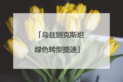 乌兹别克斯坦绿色转型提速