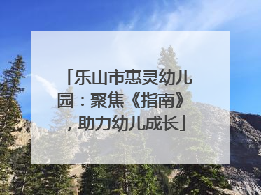 乐山市惠灵幼儿园：聚焦《指南》，助力幼儿成长