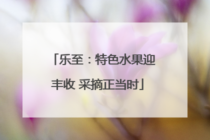乐至：特色水果迎丰收 采摘正当时