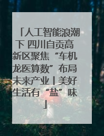 人工智能浪潮下 四川自贡高新区聚焦“车机龙医算数”布局未来产业丨美好生活有“盐”味