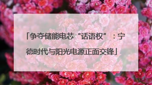 争夺储能电芯“话语权”：宁德时代与阳光电源正面交锋