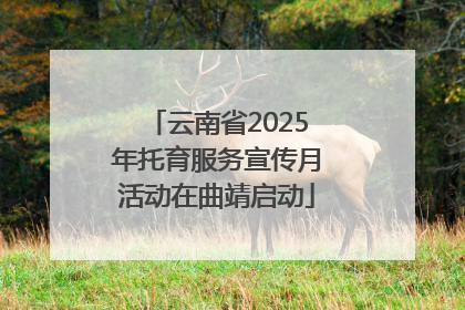 云南省2025年托育服务宣传月活动在曲靖启动