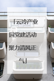 云冷产业园党建活动聚力清风正气