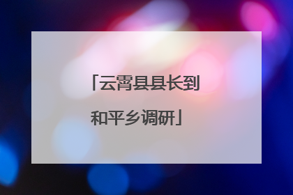 云霄县县长到和平乡调研