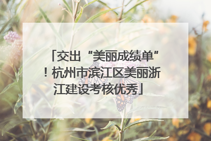 交出“美丽成绩单”！杭州市滨江区美丽浙江建设考核优秀