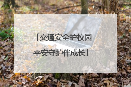 交通安全护校园 平安守护伴成长