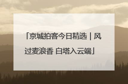 京城拍客今日精选｜风过麦浪香 白塔入云端