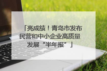 亮成绩！青岛市发布民营和中小企业高质量发展“半年报”