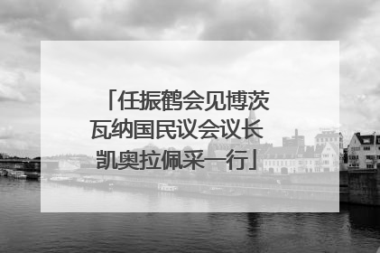 任振鹤会见博茨瓦纳国民议会议长凯奥拉佩采一行