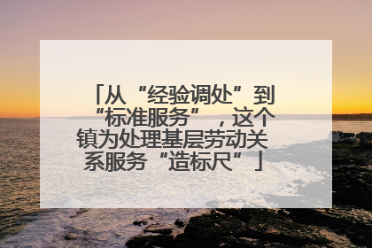 从“经验调处”到“标准服务”，这个镇为处理基层劳动关系服务“造标尺”