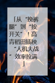 从“挽裤腿”到“按开关”！高青稻田插秧“人机大战”效率拉满