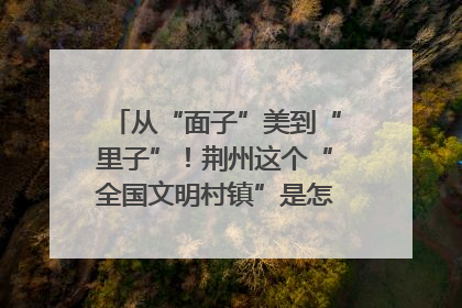 从“面子”美到“里子”！荆州这个“全国文明村镇”是怎样炼成的？