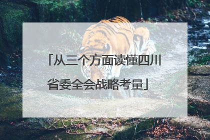 从三个方面读懂四川省委全会战略考量