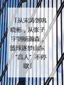 从宋涛到巩晓彬，从张子宇到杨瀚森，篮球逐梦山东“高人”不停歇