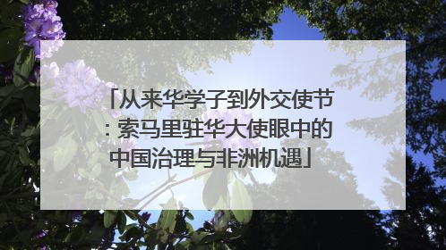 从来华学子到外交使节：索马里驻华大使眼中的中国治理与非洲机遇