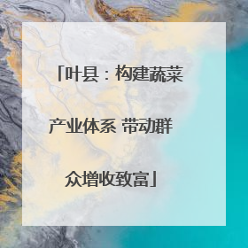 叶县：构建蔬菜产业体系 带动群众增收致富