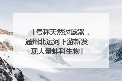 号称天然过滤器，通州北运河下游新发现大量蚌科生物