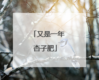 又是一年杏子肥