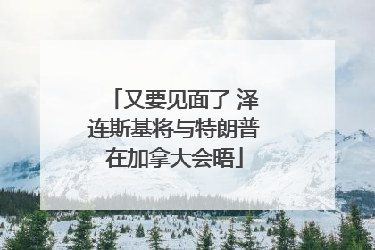 又要见面了 泽连斯基将与特朗普在加拿大会晤