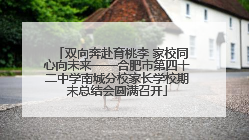 双向奔赴育桃李 家校同心向未来——合肥市第四十二中学南城分校家长学校期末总结会圆满召开