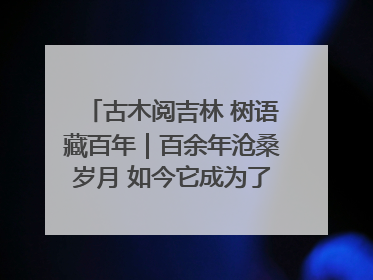 古木阅吉林 树语藏百年｜百余年沧桑岁月 如今它成为了“镇园之宝”