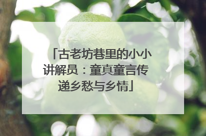 古老坊巷里的小小讲解员：童真童言传递乡愁与乡情