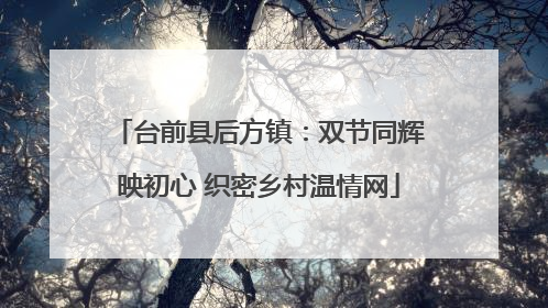 台前县后方镇：双节同辉映初心 织密乡村温情网