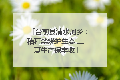 台前县清水河乡：秸秆禁烧护生态 三夏生产保丰收
