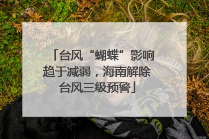 台风“蝴蝶”影响趋于减弱，海南解除台风三级预警