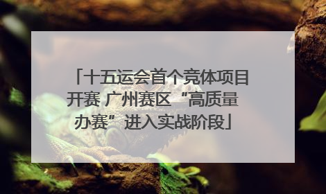 十五运会首个竞体项目开赛 广州赛区“高质量办赛”进入实战阶段