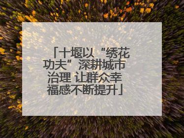 十堰以“绣花功夫”深耕城市治理 让群众幸福感不断提升