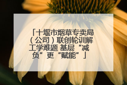 十堰市烟草专卖局（公司）联创轮训解工学难题 基层“减负”更“赋能”