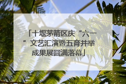 十堰茅箭区庆“六一”文艺汇演暨五育并举成果展圆满落幕