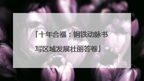 十年合福：钢铁动脉书写区域发展壮丽答卷
