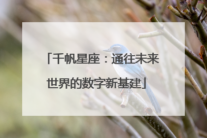 千帆星座：通往未来世界的数字新基建
