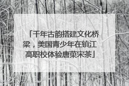 千年古韵搭建文化桥梁，美国青少年在镇江高职校体验唐菓宋茶