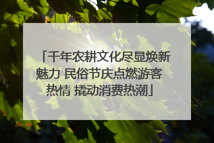 千年农耕文化尽显焕新魅力 民俗节庆点燃游客热情 撬动消费热潮