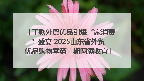 千款外贸优品引爆“家消费”盛宴 2025山东省外贸优品购物季第三期圆满收官