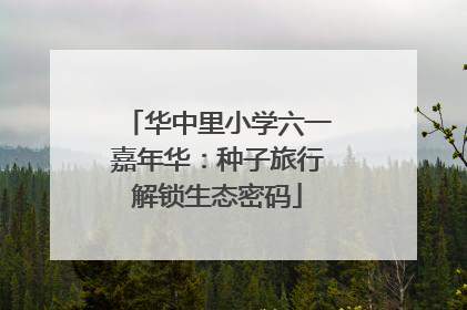华中里小学六一嘉年华：种子旅行解锁生态密码