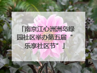 南京江心洲洲岛绿园社区举办第五届“乐享社区节”