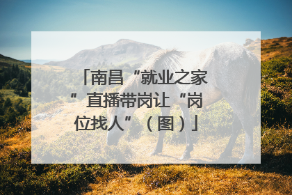 南昌“就业之家”直播带岗让“岗位找人”（图）