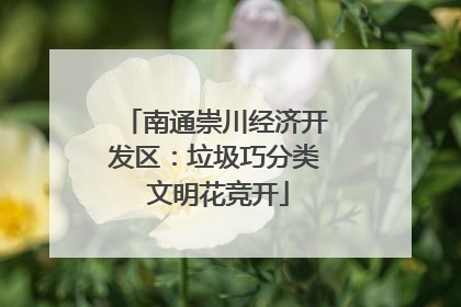 南通崇川经济开发区：垃圾巧分类 文明花竞开