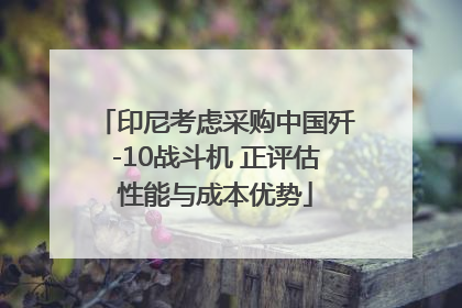 印尼考虑采购中国歼-10战斗机 正评估性能与成本优势