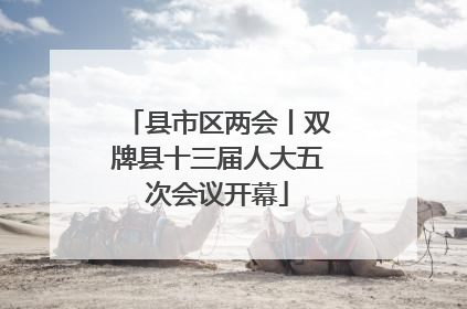 县市区两会丨双牌县十三届人大五次会议开幕