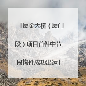 厦金大桥（厦门段）项目首件中节段构件成功出运
