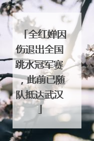 全红婵因伤退出全国跳水冠军赛，此前已随队抵达武汉
