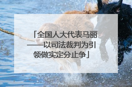 全国人大代表马丽——以司法裁判为引领做实定分止争