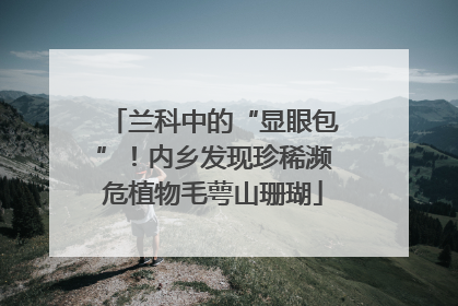 兰科中的“显眼包”！内乡发现珍稀濒危植物毛萼山珊瑚